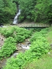 PICTURES/Gauley Bridge Falls/t_Bridge3.jpg